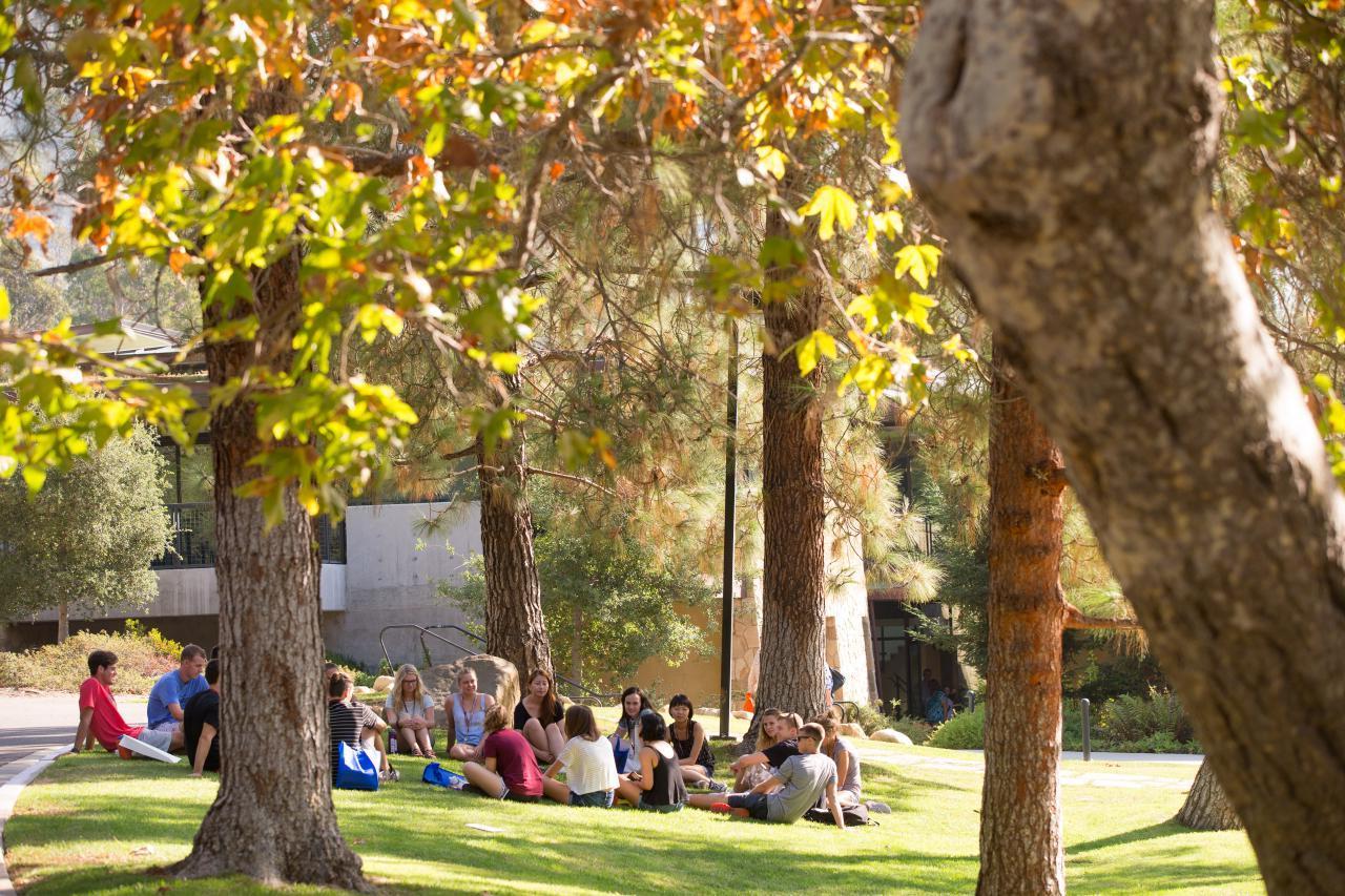 Students in class outside